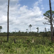 Rock Springs Run State Park