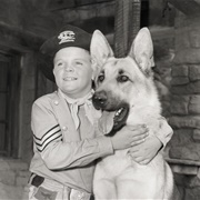 Rin-Tin-Tin ("The Adventures of Rin-Tin-Tin")
