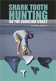 Shark Tooth Hunting on the Carolina Coast (Ashley Oliphant)
