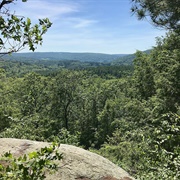 Nepaug State Forest