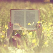 Read a Book That Will Change Your Life Whilst Sat Outside
