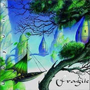 Fragile - Beyond