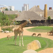 Bioparc Valencia, Spain