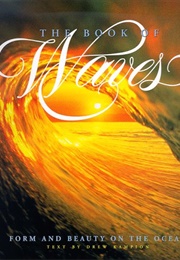 The Book of Waves (Drew Kampion)