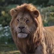 Simba (2019)
