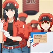 Cells at Work!