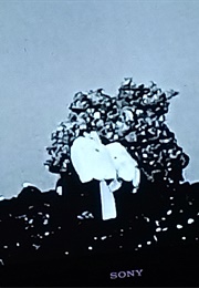 Choosing a Classroom (1963)