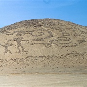 Arica & the Azapa Valley Mummies & Geoglyphs, Chile