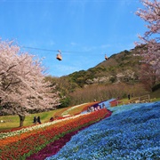 Hinoyama Park, Shimonoseki