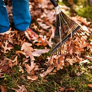 Rake Leaves for a Neighbor