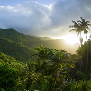 El Yunque National Forest