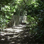 Dagny Johnson Key Largo Hammock Botanical State Park