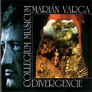 Collegium Musicum - Divergencie