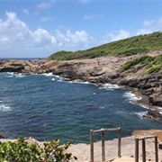 La Caravelle Nature Trail, Martinique