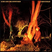 Crocodiles - Echo and the Bunnymen