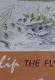 Flip the Flying Possum (Noela Young)
