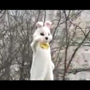The Easter Bunny HATES YOU