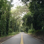 Morgan's Corner Murder