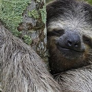 Manawakie Eco Nature Park, Roatan, Honduras