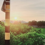 Parannoul - Into the Endless Night