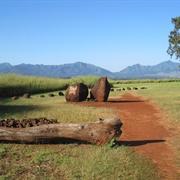 Kukaniloko Birth Site
