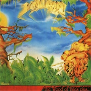 Malibran - The Wood of Tales