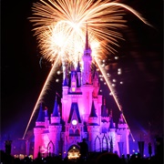 Disneyland/Disney World, USA