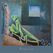 Opaque Age (The Hatch, 2018)