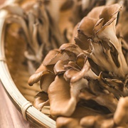 Maitake Tea