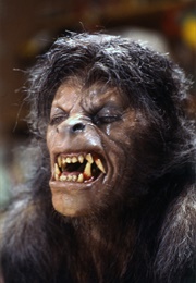 Werewolves - "An American Werewolf in London" (1981)