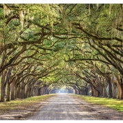 Bull Street, Savannah