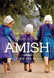 Thuis Bij De Amish : Een Leven Van Eenvoud (Danielle Heerens)