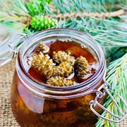 Pine Cone Syrup