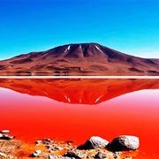 Red Lagoon, Bolivia