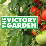 The Victory Garden - 45 Years