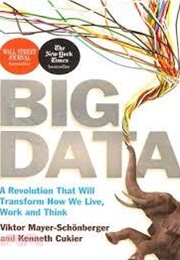 Big Data (Mayer-Schonberger)