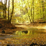 South Chagrin Reservation