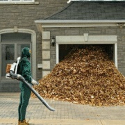 Blown Leaves Into Your Neighbor's Yard