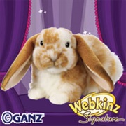 Signature Lop Bunny