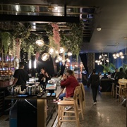 Tropikál, Montréal