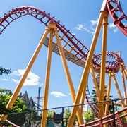 The Bat Canada's Wonderland