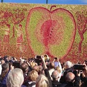 Kivik Apple Festival