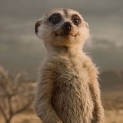 Timon (The Lion King Live Action)