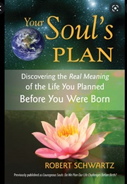 Your Soul&#39;s Plan (Robert Schwartz)
