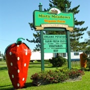 Eat at Misty Meadows in Grand Isle