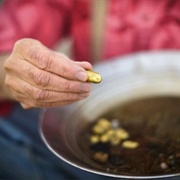 Gold Panning