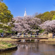 Yoyogi Park, Tokyo, Japan