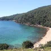 Blue Pearl Bay, Whitsundays, QLD