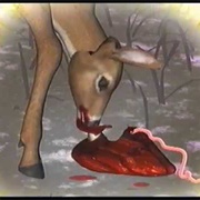 Bambi Saviour of Animal Kingdom