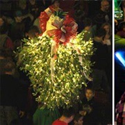 Kiss a Mistletoe